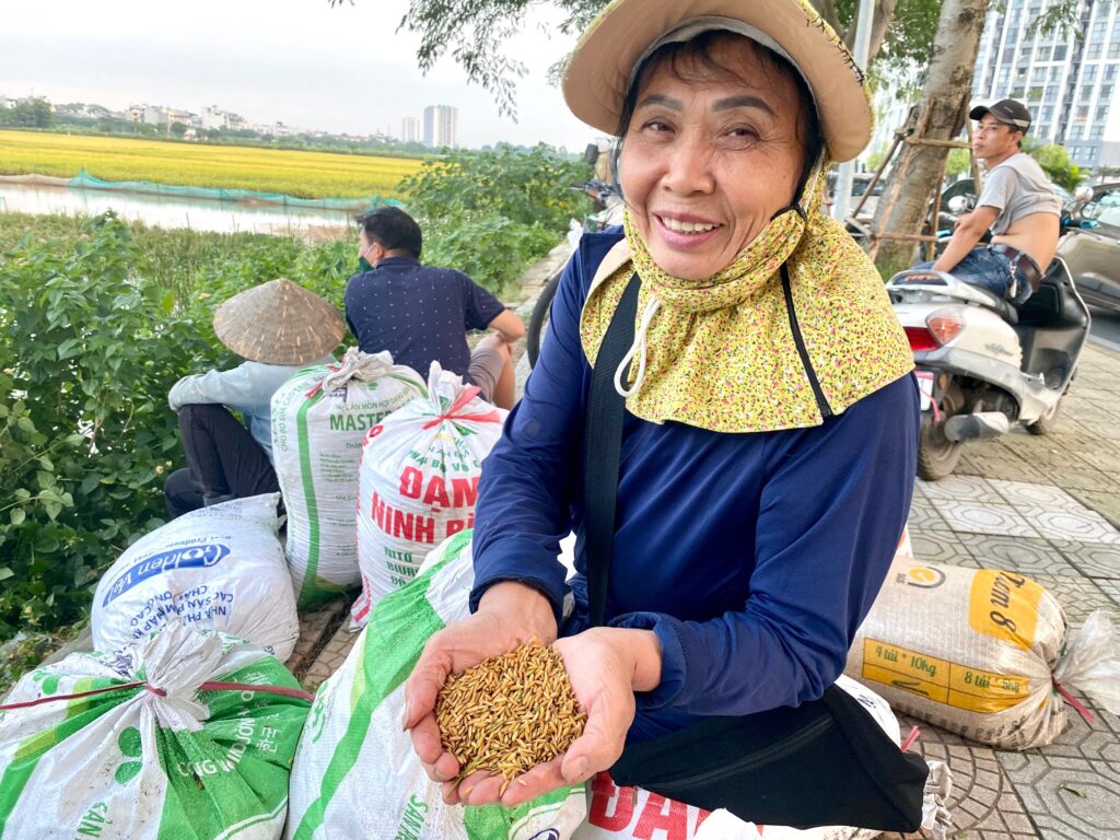 Long Biên