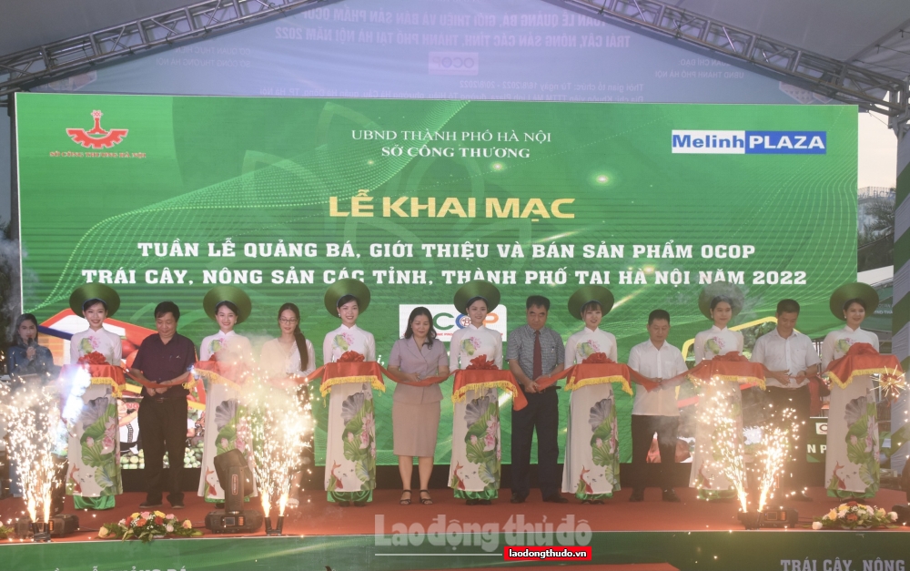 Lễ khai mạc