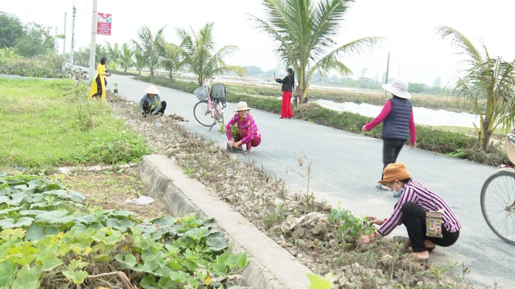 Xây dựng NTM