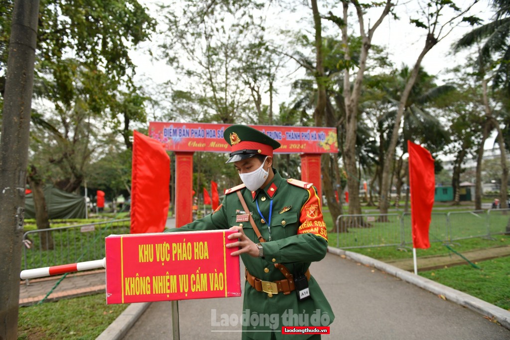 Pháo hoa