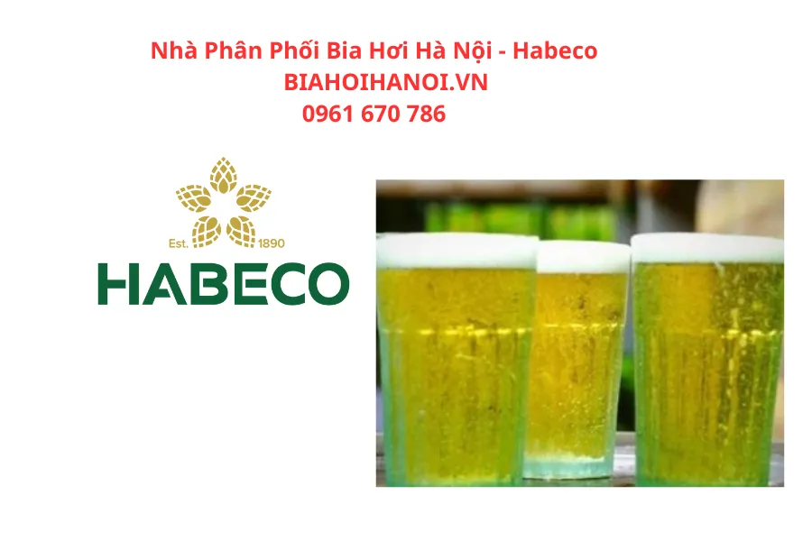 Cốc uống bia hơi Hà Nội thương hiệu Habeco